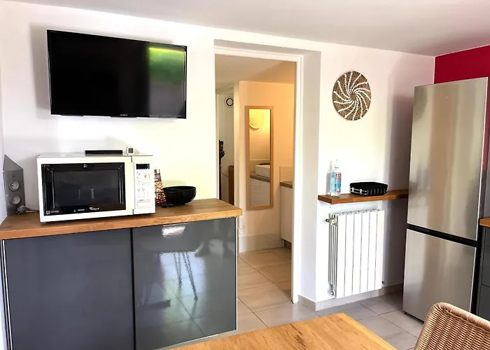Appartement Deux Pieces Donnant Sur Un Jardin